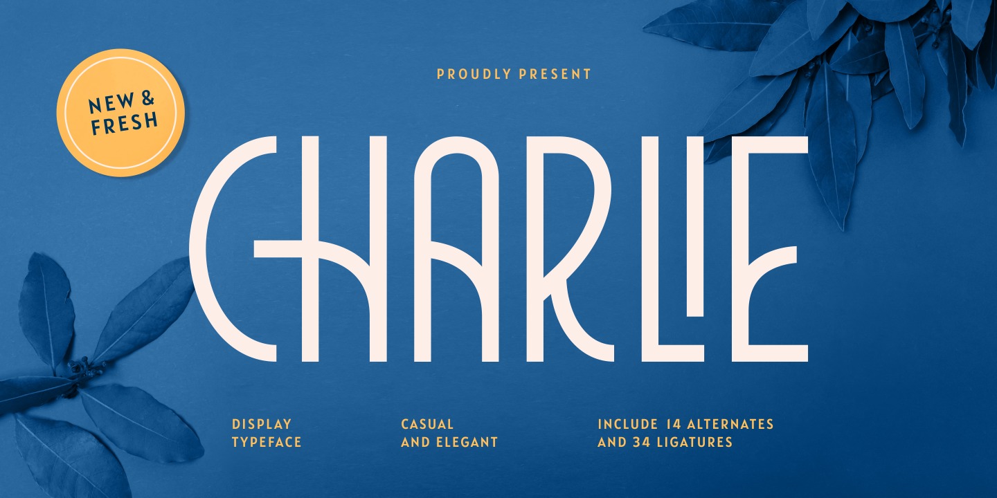 Beispiel einer Charlie Regular-Schriftart